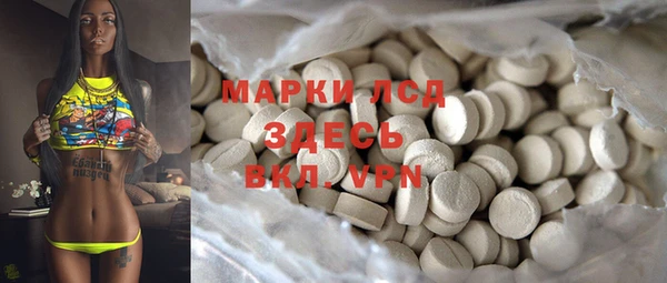 прущий лед Бородино