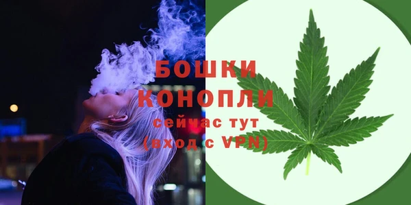 прущие грибы Белокуриха