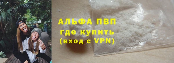 прущие грибы Белокуриха