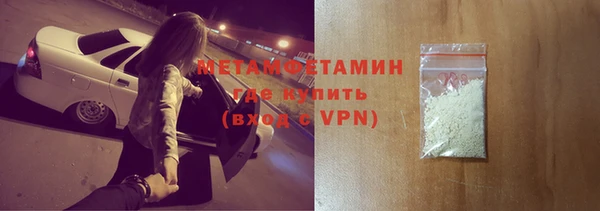 прущие грибы Белокуриха