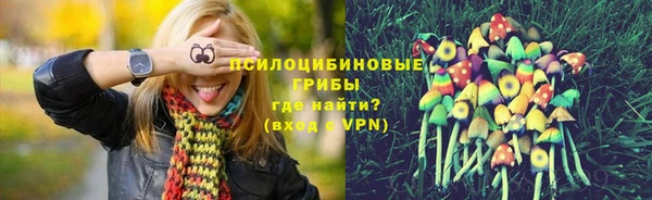 прущие грибы Белокуриха